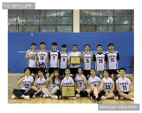 杭州排球队团队协作新模式引发热议助力竞技水平提升